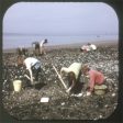 Olympic National Park - View-Master 3 Reel Packet - vintage - A278-G3A Online