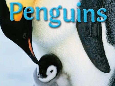 100 facts - Penguins Supply